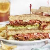 Side view of a classic blt sandwich on a plate.