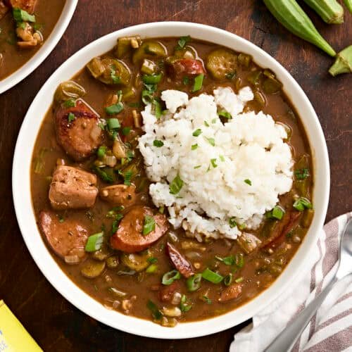 Overhead view of a bowl of gumbo and rice.