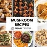 A photo collage of mushroom recipes.