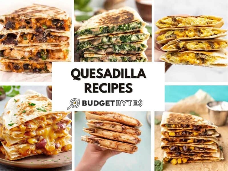 collage image of various quesadilla recipes