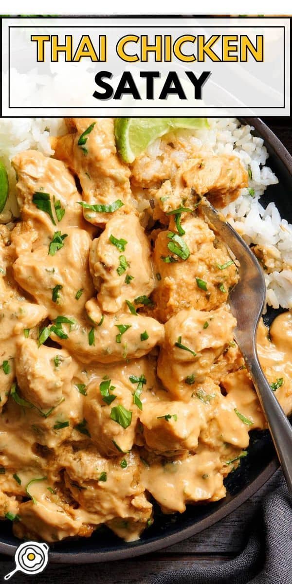 Thai Chicken Satay pin image